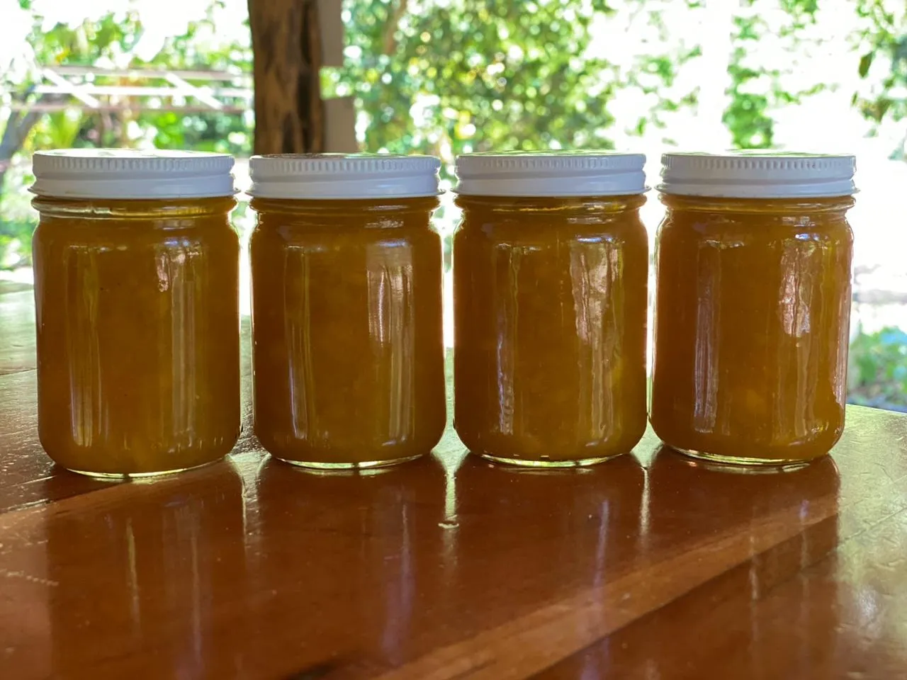 Mermelada de Mango x kilo