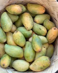Mango Manila 1 Kg