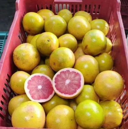 Toronja - Caja 20 kg