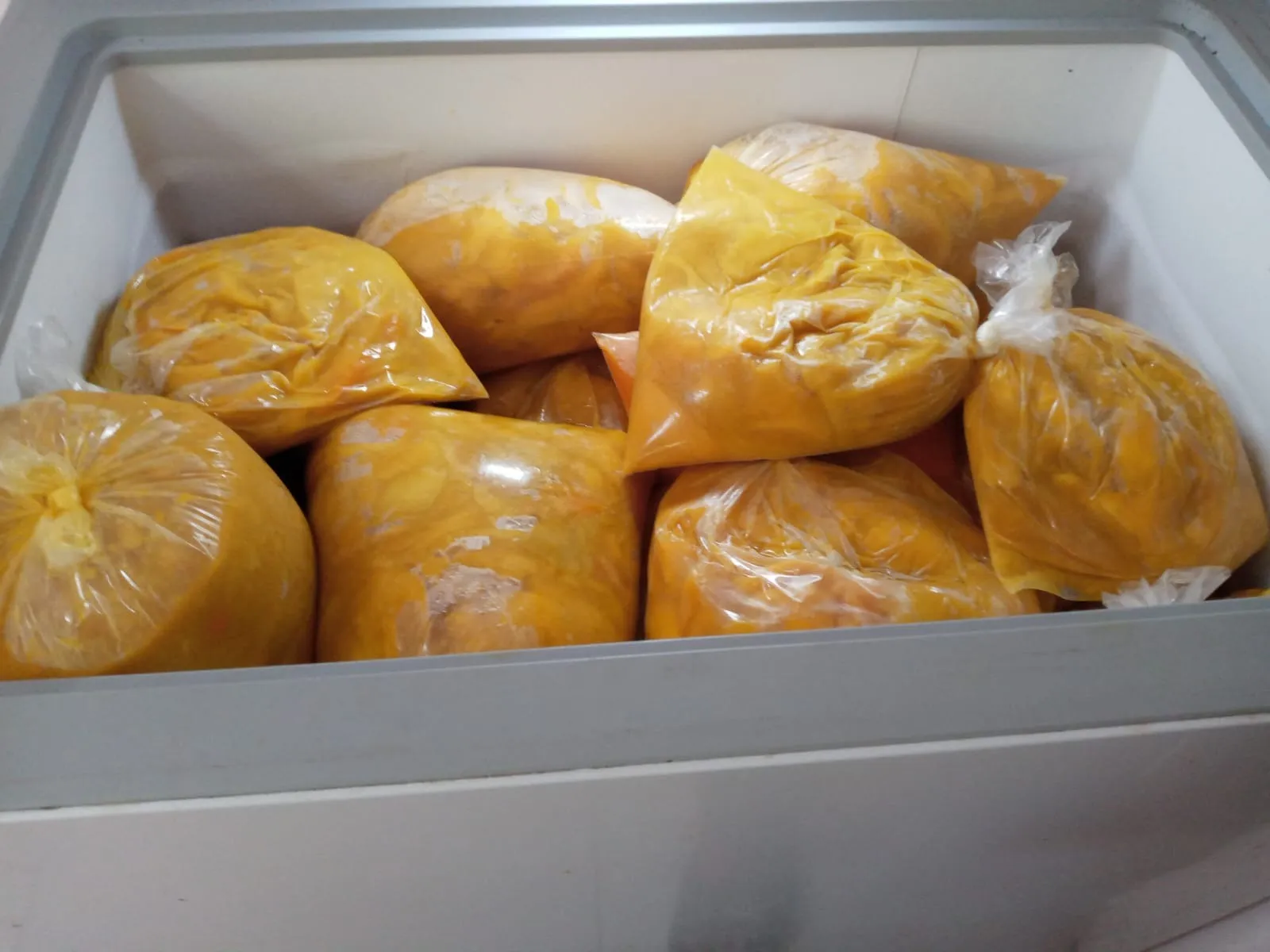 Mango congelado x kilo